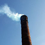SONY DSC