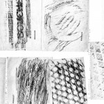 carte postale_3
